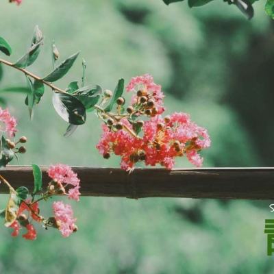 博鱼电竞下载手机版